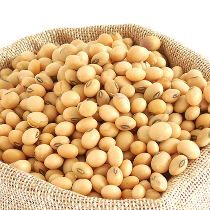 Soybean MakSoy 4N superior variety
