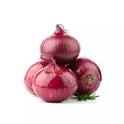 Red Coach F1 - Onion seeds 250g
