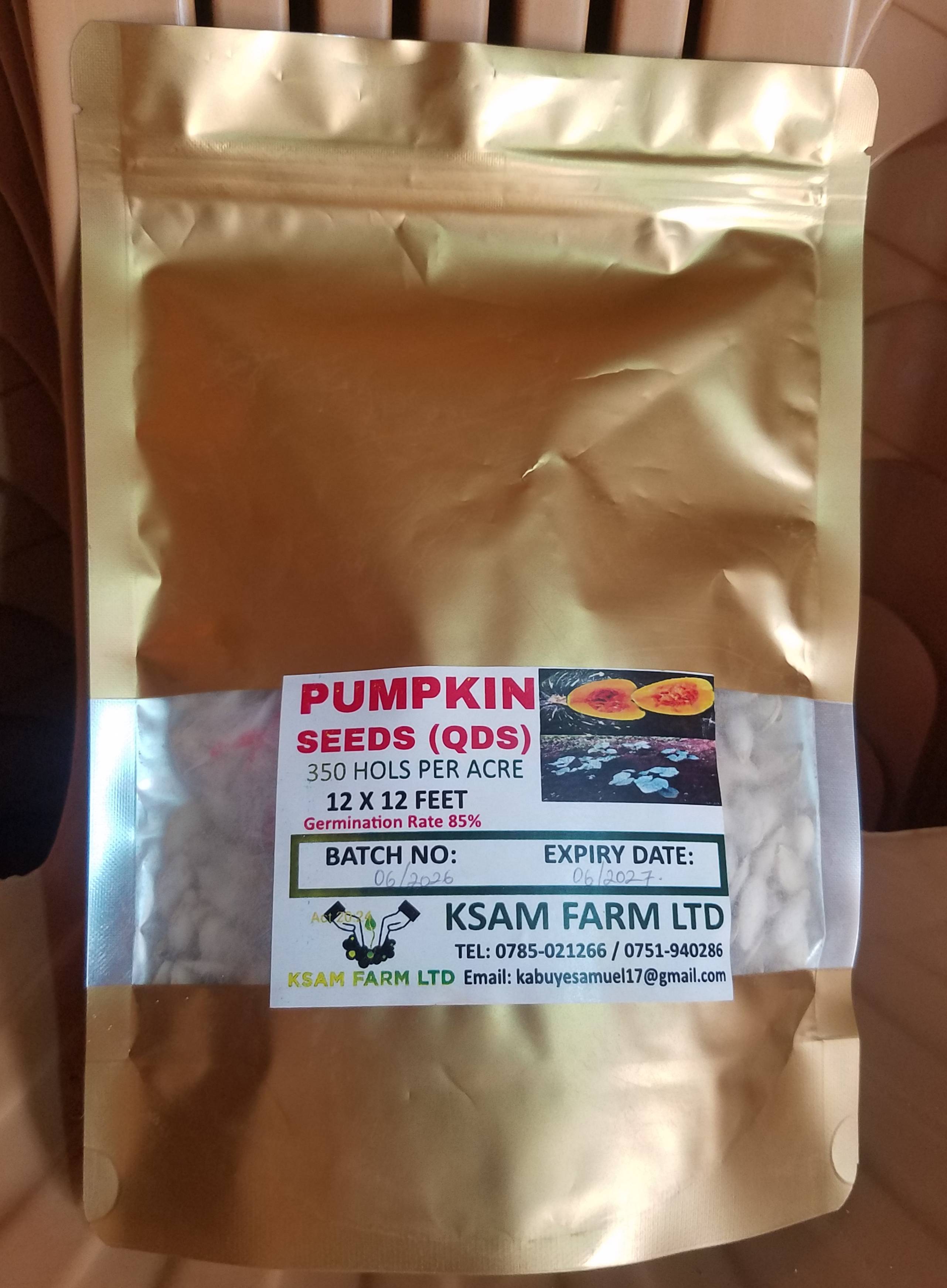 pumpkin seeds