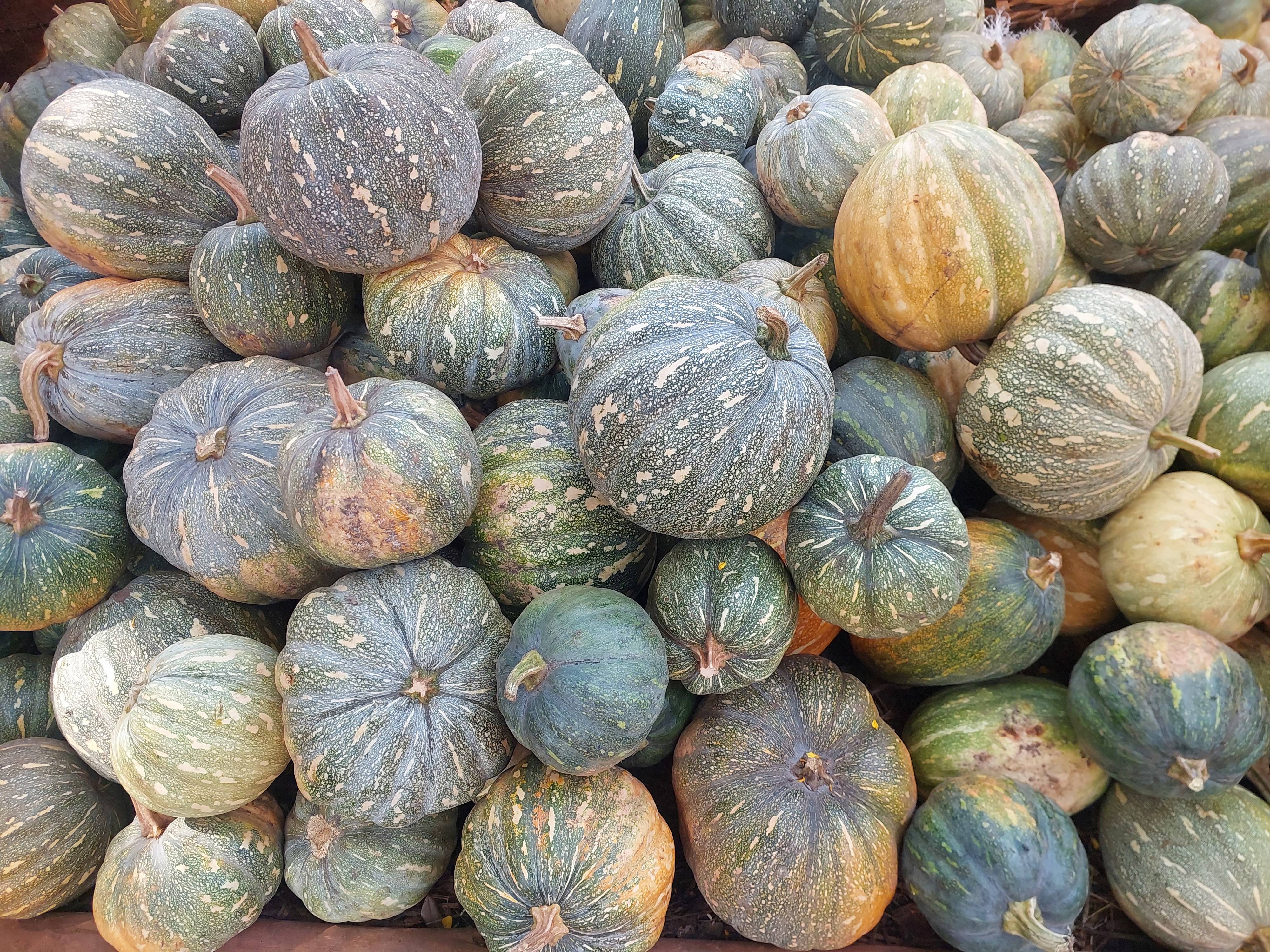Pumpkins